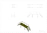 do drafting and fabrication drawing
